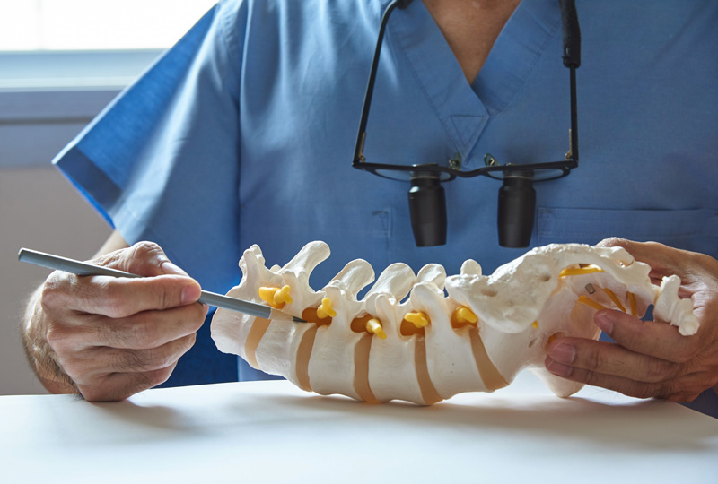 مهره های کمر یا همان دیسک