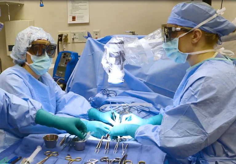 وازکتومی کجا انجام میشود؟