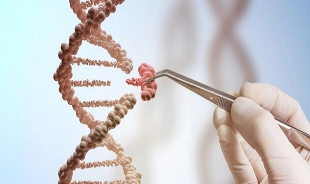 ناهنجاریهای ژنی و بیماریهای تک ژنی