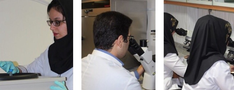 معرفی آزمایشگاه ژنتیک دکتر رحمانی در تبریز