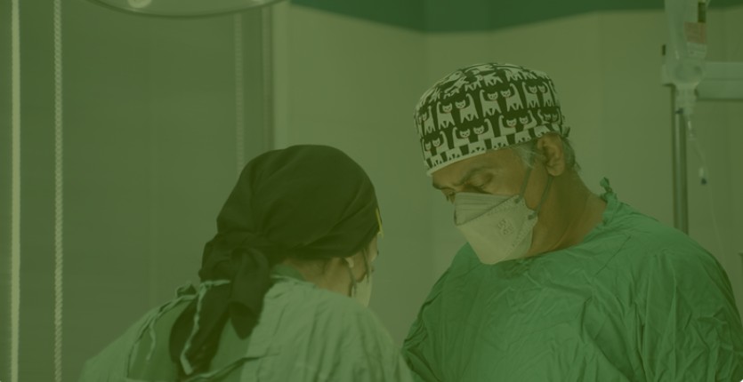 ۱۰ نکته مهم در انتخاب جراح بینی در تهران | راهنمای کامل انتخاب جراح رینوپلاستی