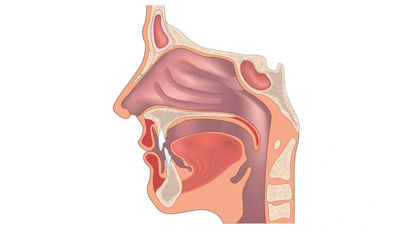 معرفی مطب دکتر حبیب الله مقدسی | متخصص گوش، حلق و بینی در تهران